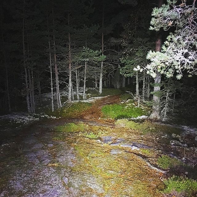 Tisdagsträningen fortsätter - Skyttis i kvällsmörkret