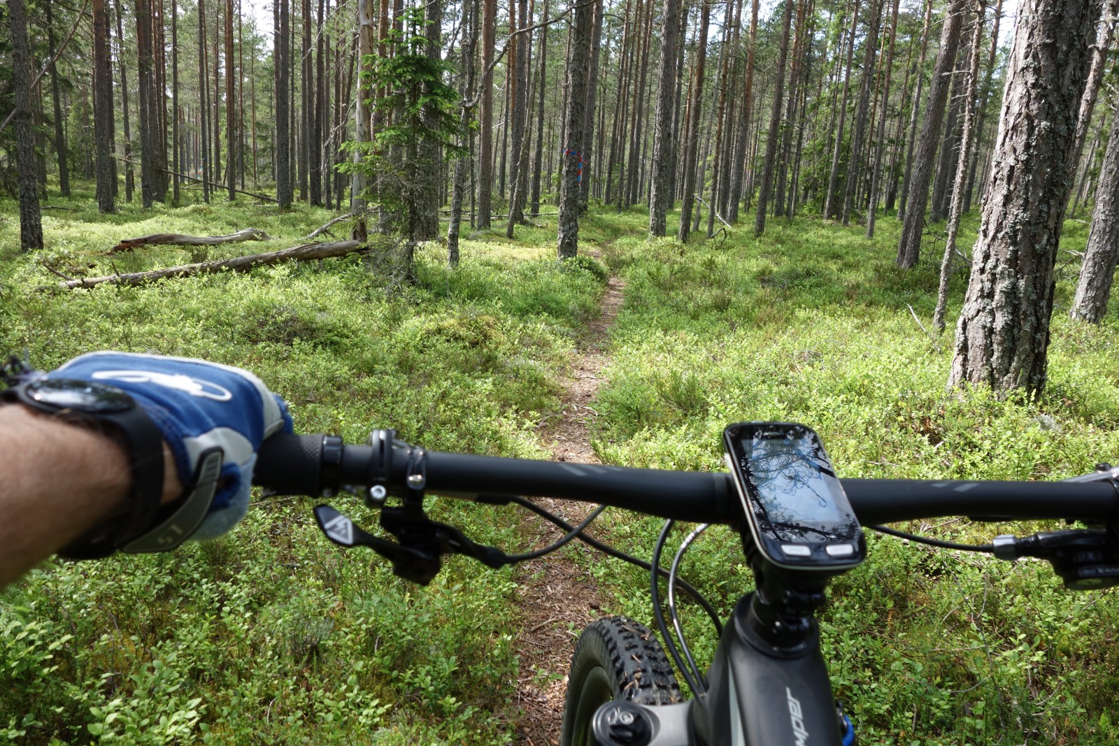 Tisdagsträning MTB - Klippans parkering och enkla stigar mot Ängetskolan samt Åsberget