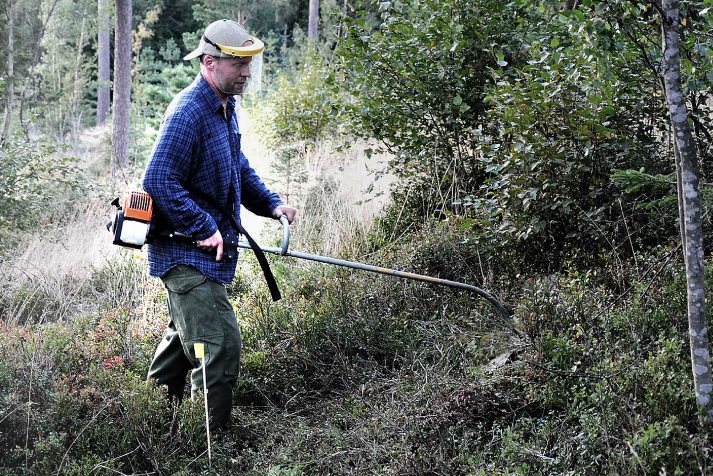 Underhåll CK Örnens Downhillpark
