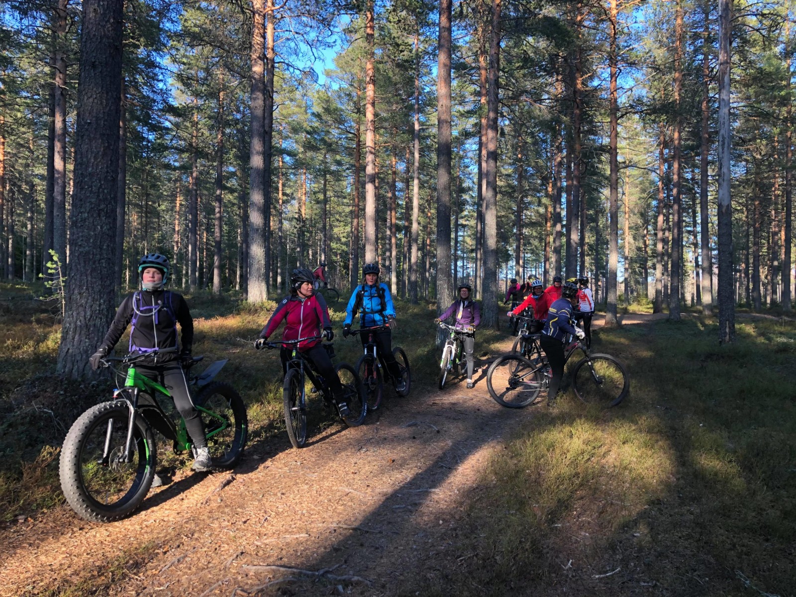 Qlingorna - CK Örnens tjejer (Samling: Örnen Arena)